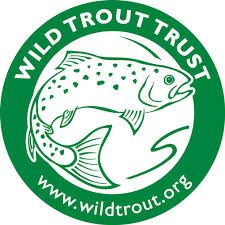 wild trout trust.jpg